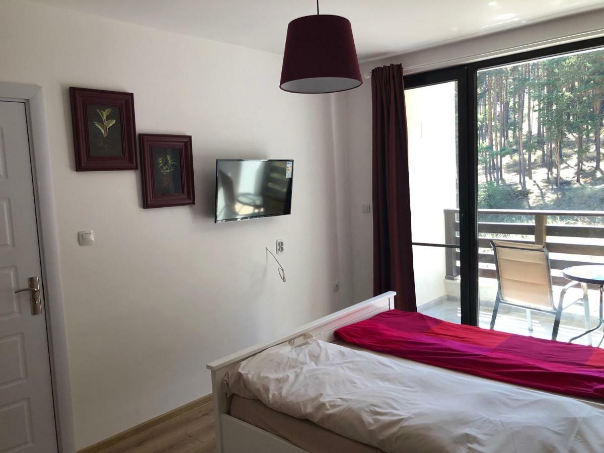 Apartamento Borov Park 3 Velingrado Exterior foto